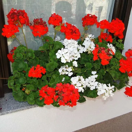 Apartma Jezero Διαμέρισμα *