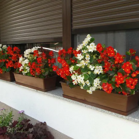 Apartman Apartma Jezero