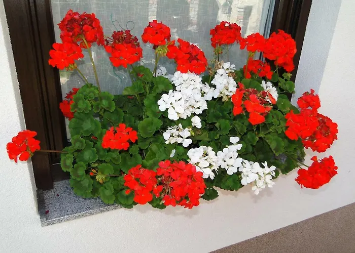 Apartma Jezero Διαμέρισμα *