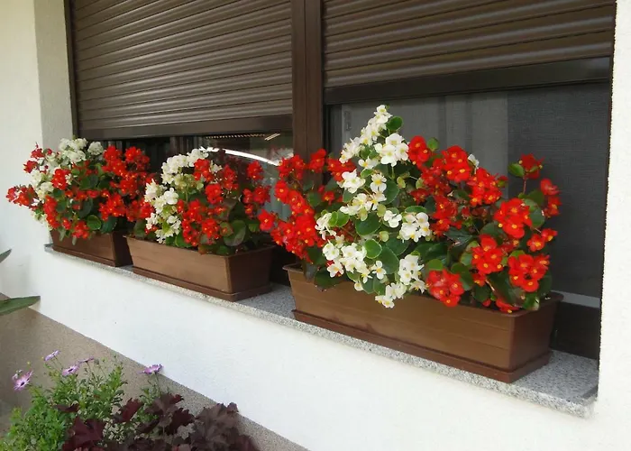 Daire Apartma Jezero